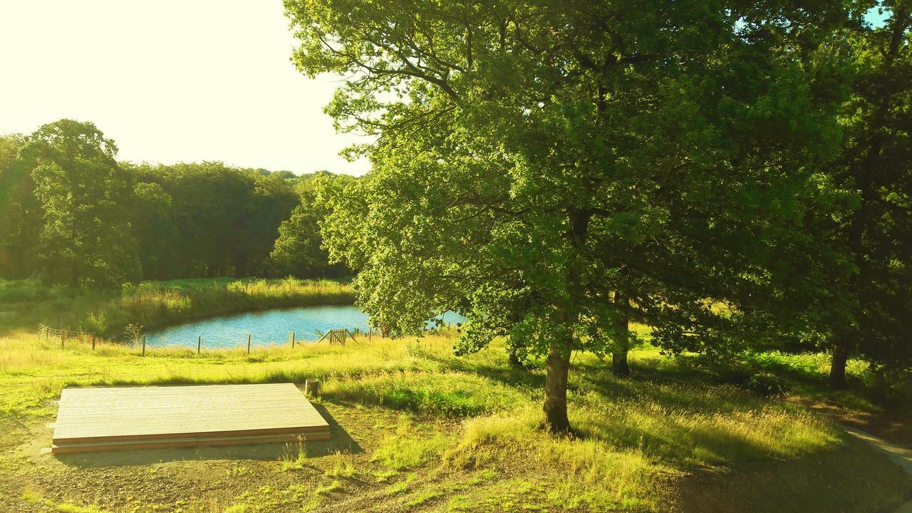 L'Etape En Foret Saint-Sever-Calvados Dış mekan fotoğraf