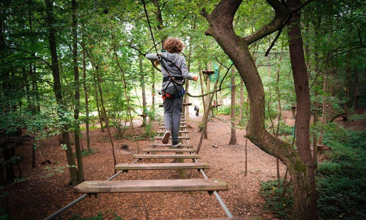 L'Etape En Foret Saint-Sever-Calvados Dış mekan fotoğraf